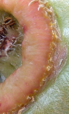 035 - Kopie (387x640).jpg