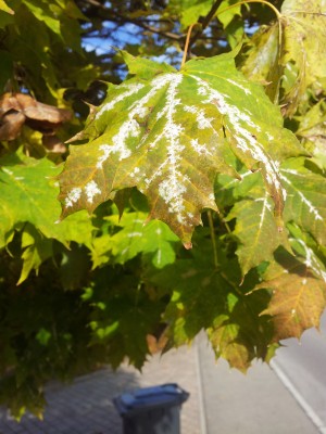 2011-10-29 14.43.14.jpg