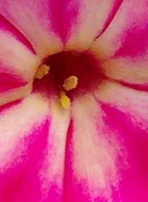 Größenänderung Ausschnitt.jpg