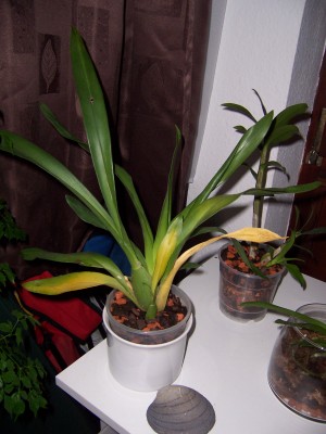 100_2561.JPG