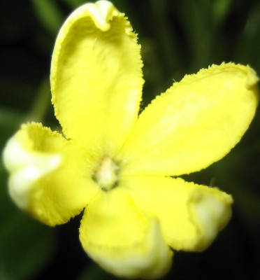 Bild green24 755.jpg