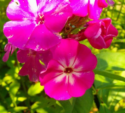 Größenänderung 100D6306.JPG