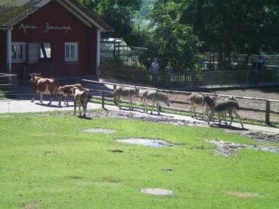 Größenänderung 100_0296.JPG