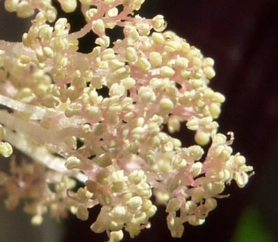 Raetsel 14 (4) - Kopie (640x556).jpg