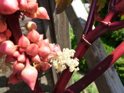 Raetsel 14 (3) - Kopie (640x480).jpg