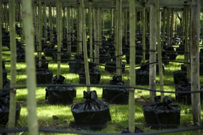 2592-Wasserversorgung.jpg