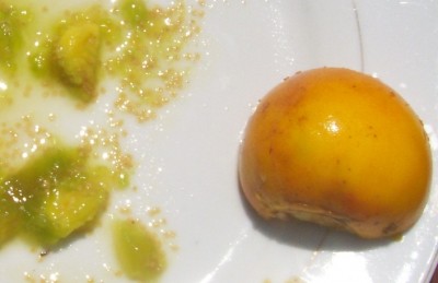 Solanum quitoense, 2.jpg