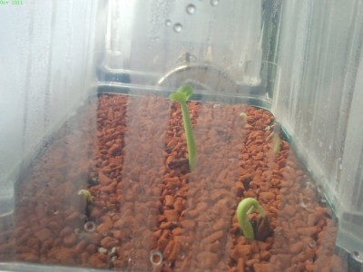 2011-10-31 11.28.33-s.jpg