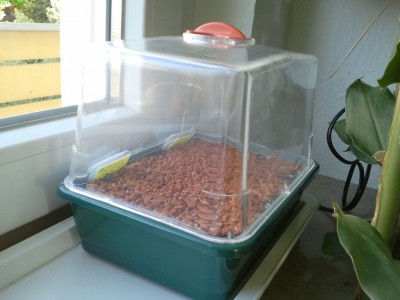 2011-10-23 13.28.29-s.jpg