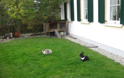 Oskar und Sarah_0215.jpg
