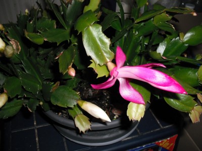 Rätsel bunt gesamt.jpg