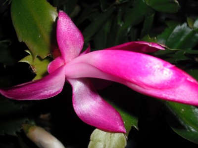 Rätsel bunt Lösung.jpg