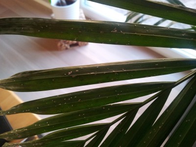 2011-10-21 16.55.29 klein.jpg