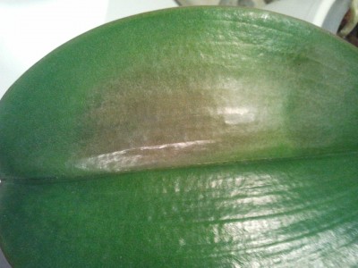 2011-11-02 23 01 59.jpg