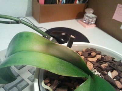 2011-11-02 23 01 50.jpg