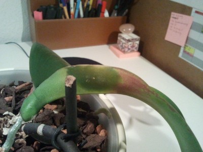 2011-11-02 23 01 38.jpg
