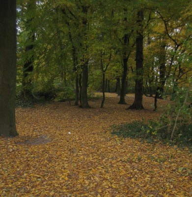 Bild green24 770.jpg