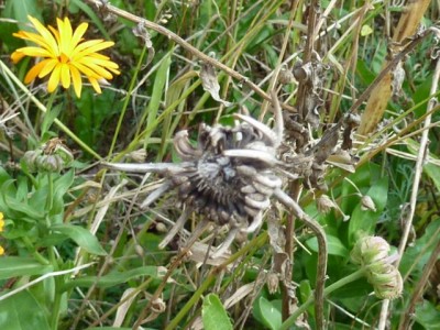 20111030 267 - Kopie (640x480).jpg