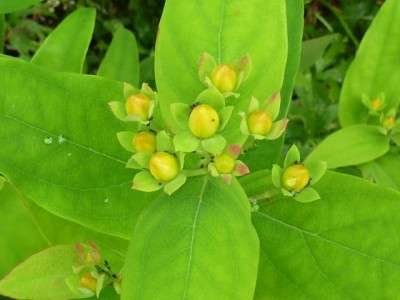 Raetsel 29 (1) - Kopie (640x480).jpg