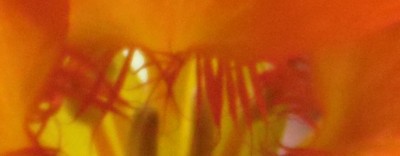 ausschnitt rätsel 2.jpg