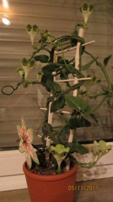 IMG_0712.jpg