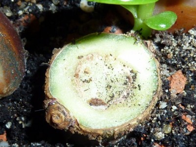 20111105 004 - Kopie (640x480).jpg