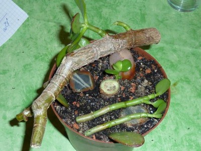 20111105 006 - Kopie (640x480).jpg