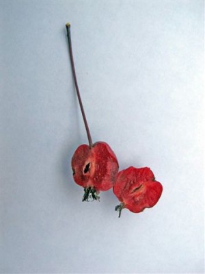 Baum I (5).jpg