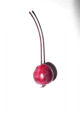 Baum I (4).jpg