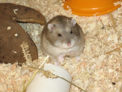 Bild 096.jpg