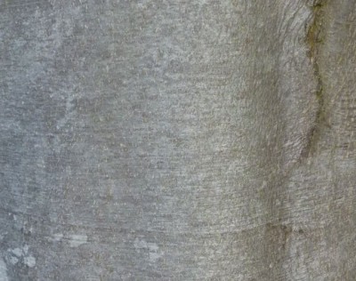 111104 051 - Kopie (640x505).jpg