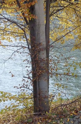 111104 050 - Kopie (417x640).jpg