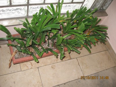 2011_7886.jpg