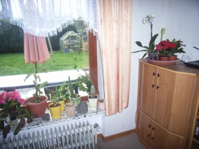 RIMG0047.JPG