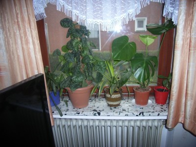 RIMG0045.JPG