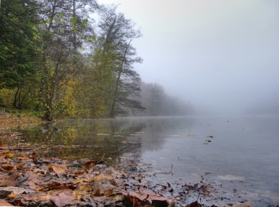 2011-11-09 096comt.jpg