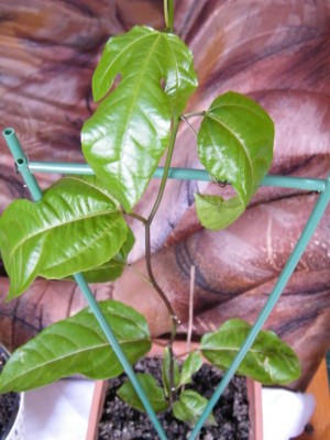 August-2011 552275.jpg