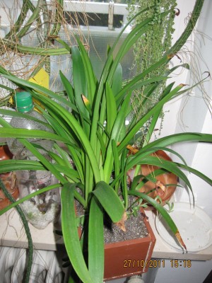 2011_7889.jpg