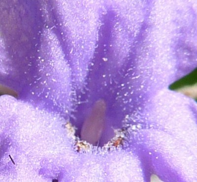 Raetsel 256 (640x589).jpg