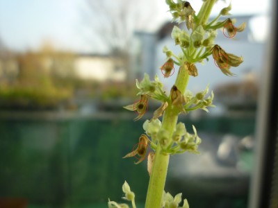 P1000299-2.jpg