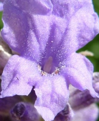 Raetsel 25g - Kopie.jpg