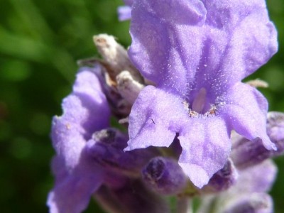 Raetsel 25 (6) - Kopie (640x480).jpg