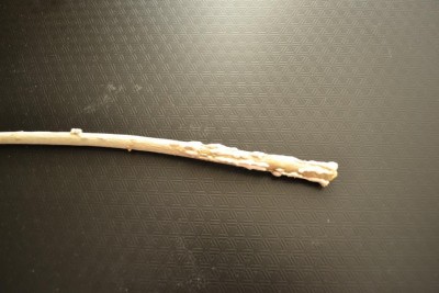 DSC_0103.jpg