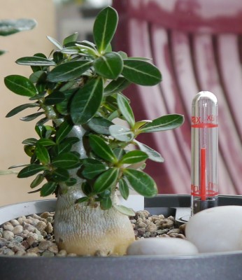 Prakaithons 8.10.2011.JPG