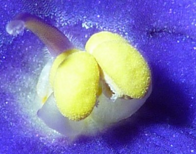 111104 117 - Kopie (640x504).jpg