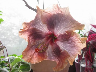 Größenänderung IMG_3512.JPG