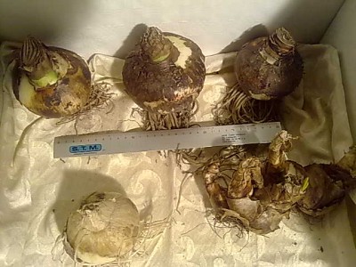 12112011537.jpg