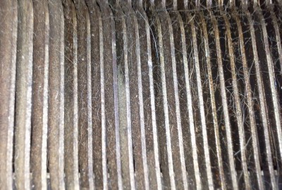 Foto010101.jpg