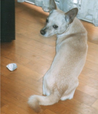 CHARLY NEU.JPG