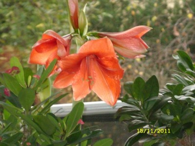 Photo4.jpg